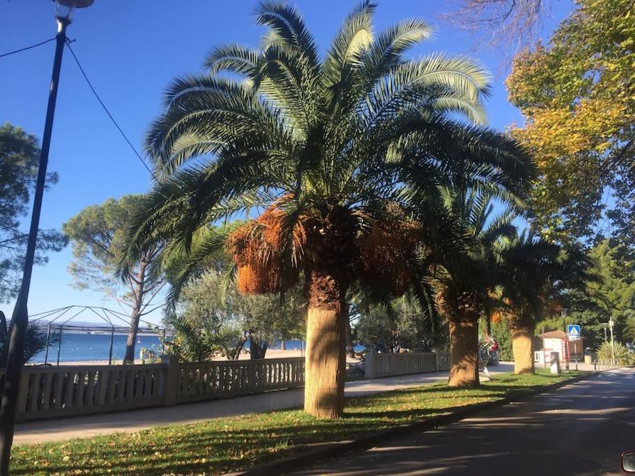 Ferienwohnung Nena In Crikvenica Buitenkant foto