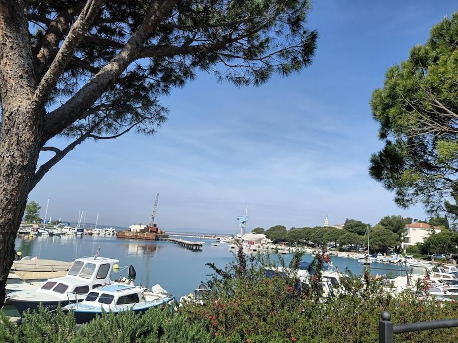 Ferienwohnung Nena In Crikvenica Buitenkant foto