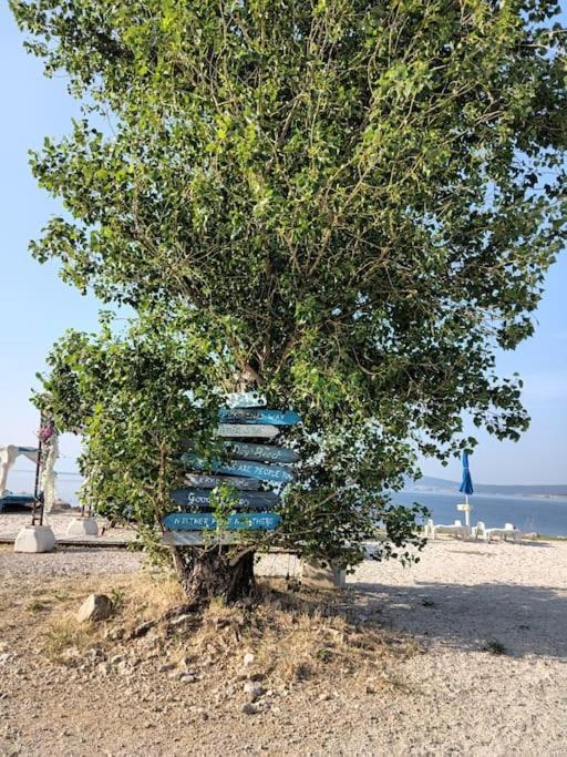 Ferienwohnung Nena In Crikvenica Buitenkant foto