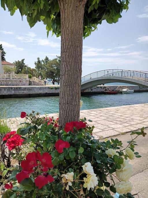 Ferienwohnung Nena In Crikvenica Buitenkant foto